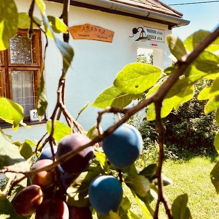 Ubytovanie U Aranky Cierna nad Tisou Exterior photo